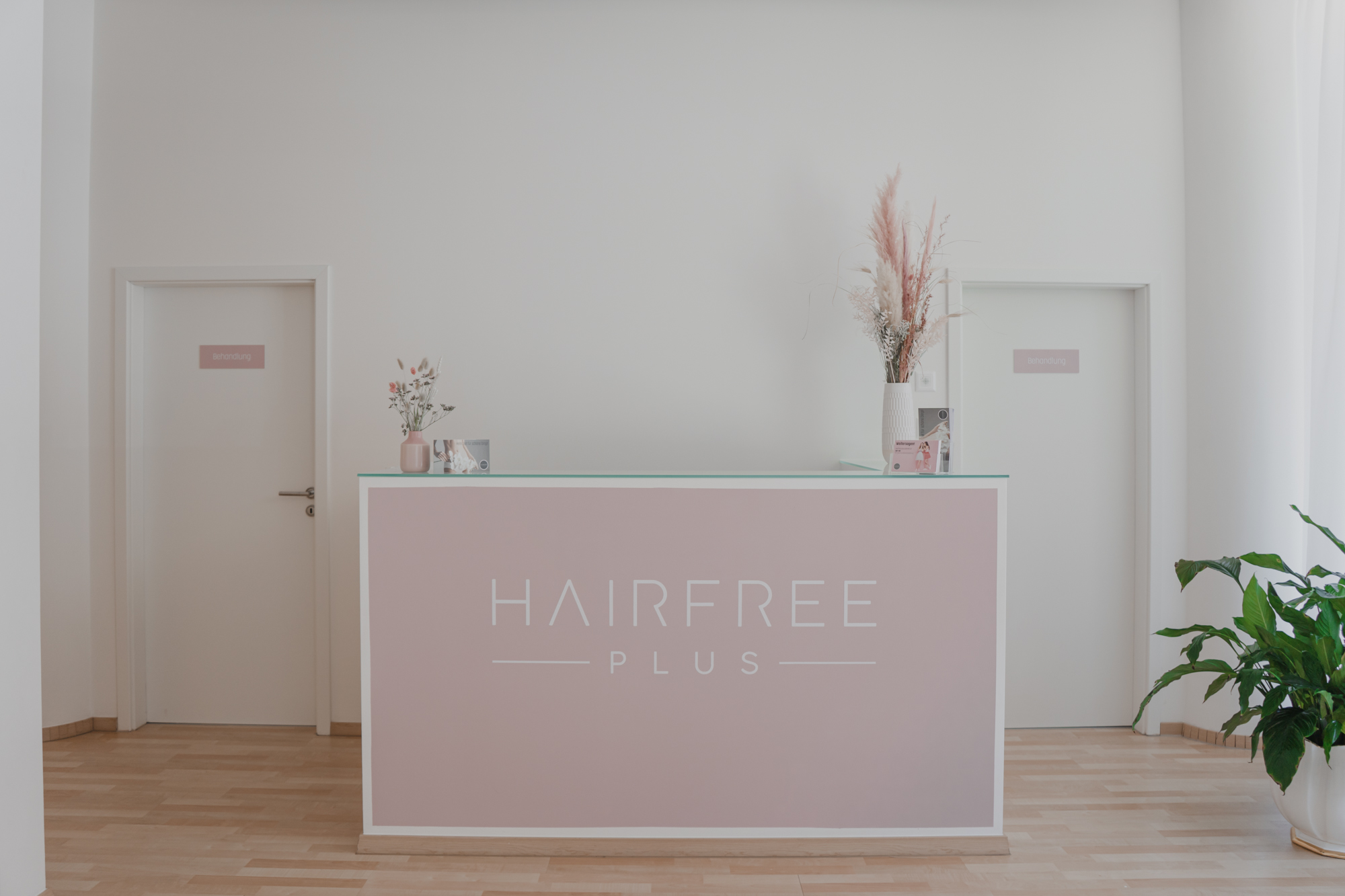 Hairfree PLUS Empfangsbereich